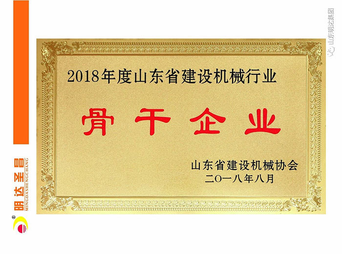 骨干企業(yè)